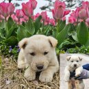 축동초등학교 이미지