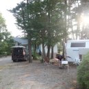 바람아래솔 이미지