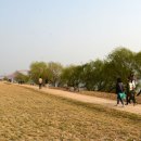 도심속의 평화 이미지