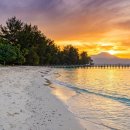 구명카써비스 이미지