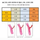 알포유테라피