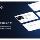 노우즈