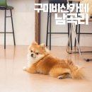 비산로-7 이미지