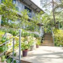 물한계곡 소나무펜션 | 계곡 옆 숲속에서의 하루, 춘천 캠핑장 소나무세상 글램핑 후기