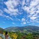 올라알파카 카페 이미지