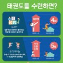 한국체대국제태권도 이미지