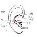 귀로 보는 건강 : 귀혈자리 다이어트 귀지압점 정리 이미지