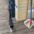 아라뱃길자전거대여소 이미지