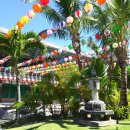 하와이 훌라댄스 (초급반) 이미지