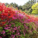 유산벨리골프연습장 이미지