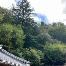 스테이오늘 익산평화점 | 조용하고 평화로운 공간을 원한다면, 산청 대원사 템플스테이 매우 매우 추천드립니다. 🌱