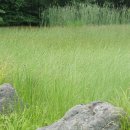 노루생태관찰원 이미지