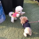 폭염 기념, 1월 정리하기 👻