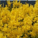 (주)황금농장 이미지