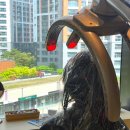 광명카클리닉 이미지