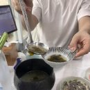 3월 거제, 청마루 대구뽈찜 | 거제식물원 | 빌라가배 풀빌라 가족여행