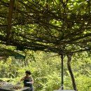 장산농장 이미지