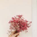 뉴캐슬아파트 네이버블로그