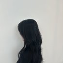 운남빌딩 | 광주 리안헤어운남점 이서점장 여름맞이 가벼운 허쉬컷 내돈내산 후기