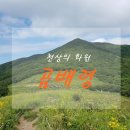 곰배령화원 이미지