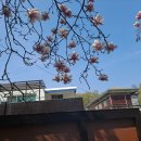 국민대학교 법무대학원 이미지