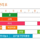 수종별 유지관리 방법-서양측백 이미지