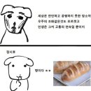 보다물산 | 그리고 갑차기스러운데 10월 취소해도 돼?