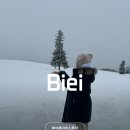 천암마을숲 공중화장실 | 일본 삿포로 여행 비에이 버스투어 내돈내산 솔직 후기