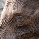 종로필운점 현대자동차 이미지