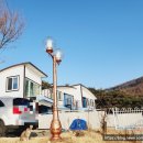 파인트리풀빌라펜션 이미지