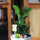 동구꽃백화점 이미지