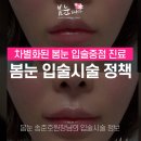 봄눈피우다의원