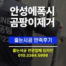 [5060] 줄눈시공과정 | 안성애폭시줄눈시공 바닥 곰팡이 과정 후기