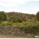 신산삼거리 이미지