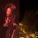 2026 Wave to earth 내한 및 올림픽홀 A2구역8열 후기