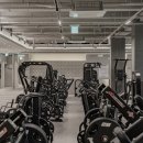 버클다운짐 이미지