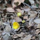 개산초등학교 이미지