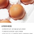 더파이터