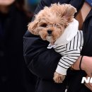 원이약국 이미지