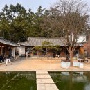 인지솔카페 이미지