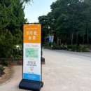 티오플래닛 | 서울숲 2026 서울 국제정원박람회 도슨트 입장료 총정리