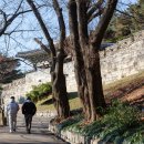 신선주한잔