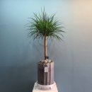 새한주유소 이미지