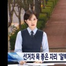 주정차-33 이미지