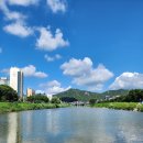 기아대교 이미지