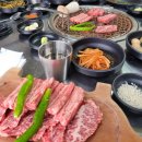 호근머들 | [도민추천] 미깡밭한우집_1++한우 맛집 현지인맛집 감귤밭뷰 서귀포맛집 반려동물동반가능맛집