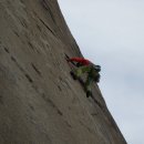 엑서사이즈 이미지