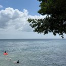 시크릿짐 | 보홀여행 스노클링 스팟 추천ㅣ아모리타 리조트 앞바다 secret cove 시크릿코브 솔직후기