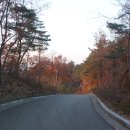 청덕물푸레9단지 이미지