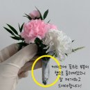 베이끄